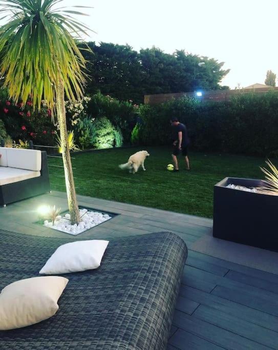 Maison De Vacances Contemporaine Avec Piscine Villa Vedene Bagian luar foto